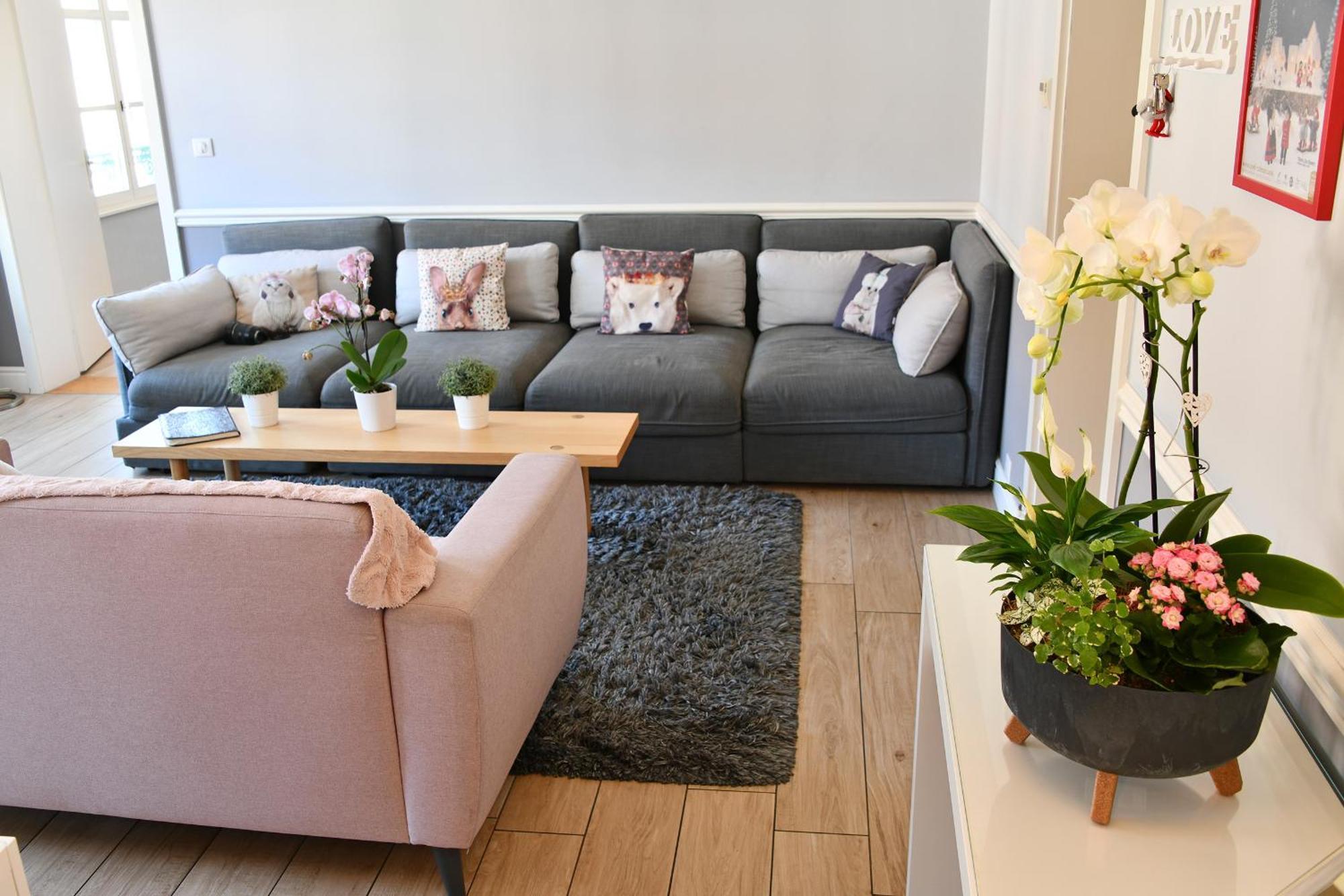 Appartement The Fairytale - Petite Venise Colmar Ngoại thất bức ảnh
